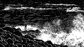 The Shoreline by Sophie Racine