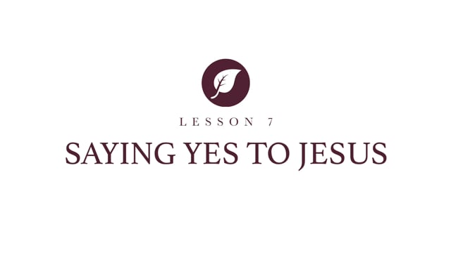 video image