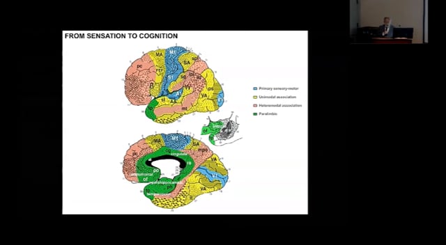 March 5, 2020 -The 10th George B. Murray MD, Limbic Lecture in Psychiatry