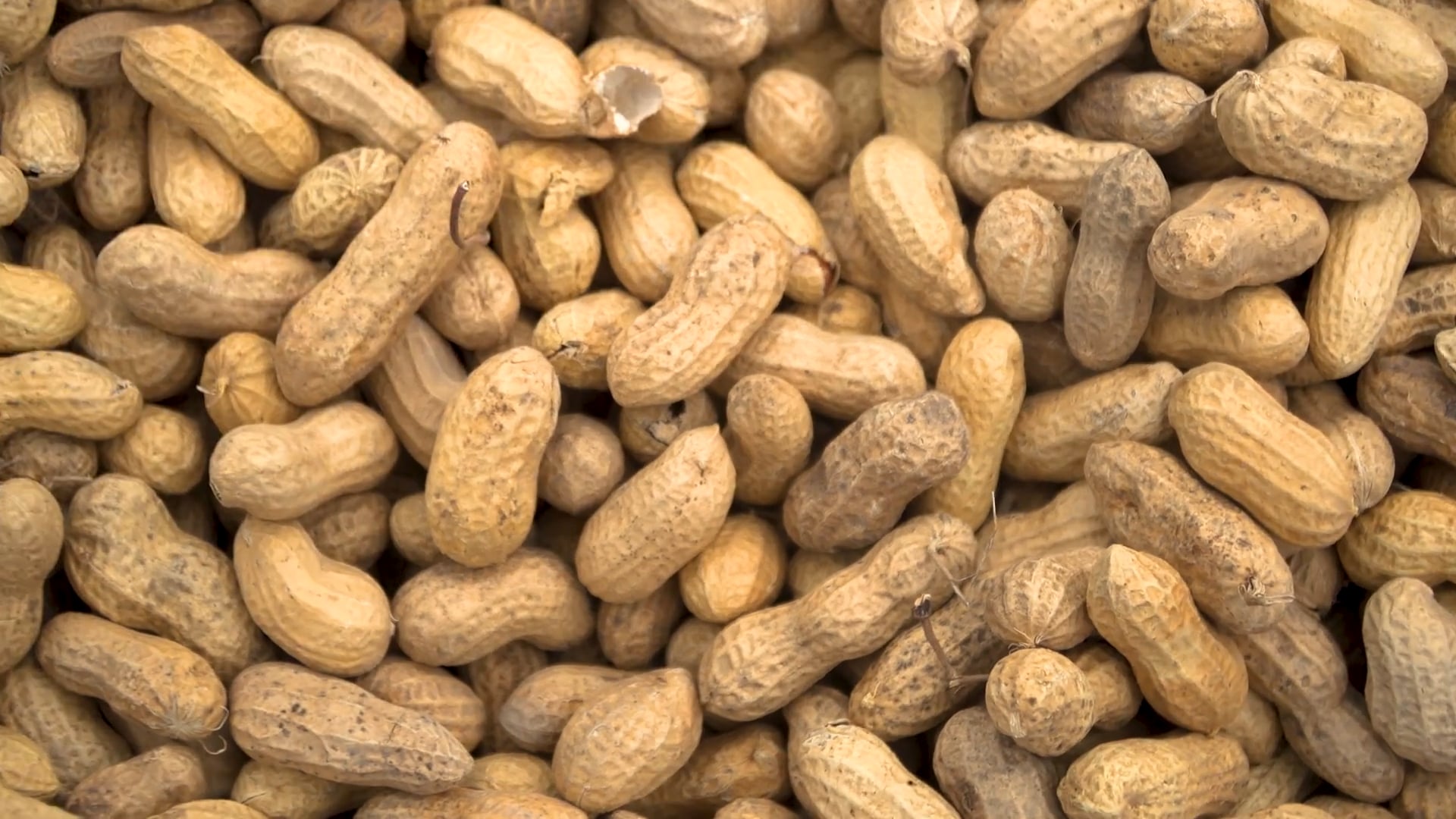 North Carolina Peanuts