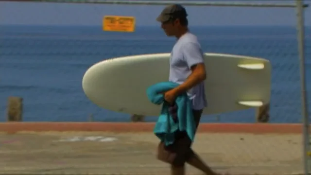Hydrodynamica Cybersim 5'6