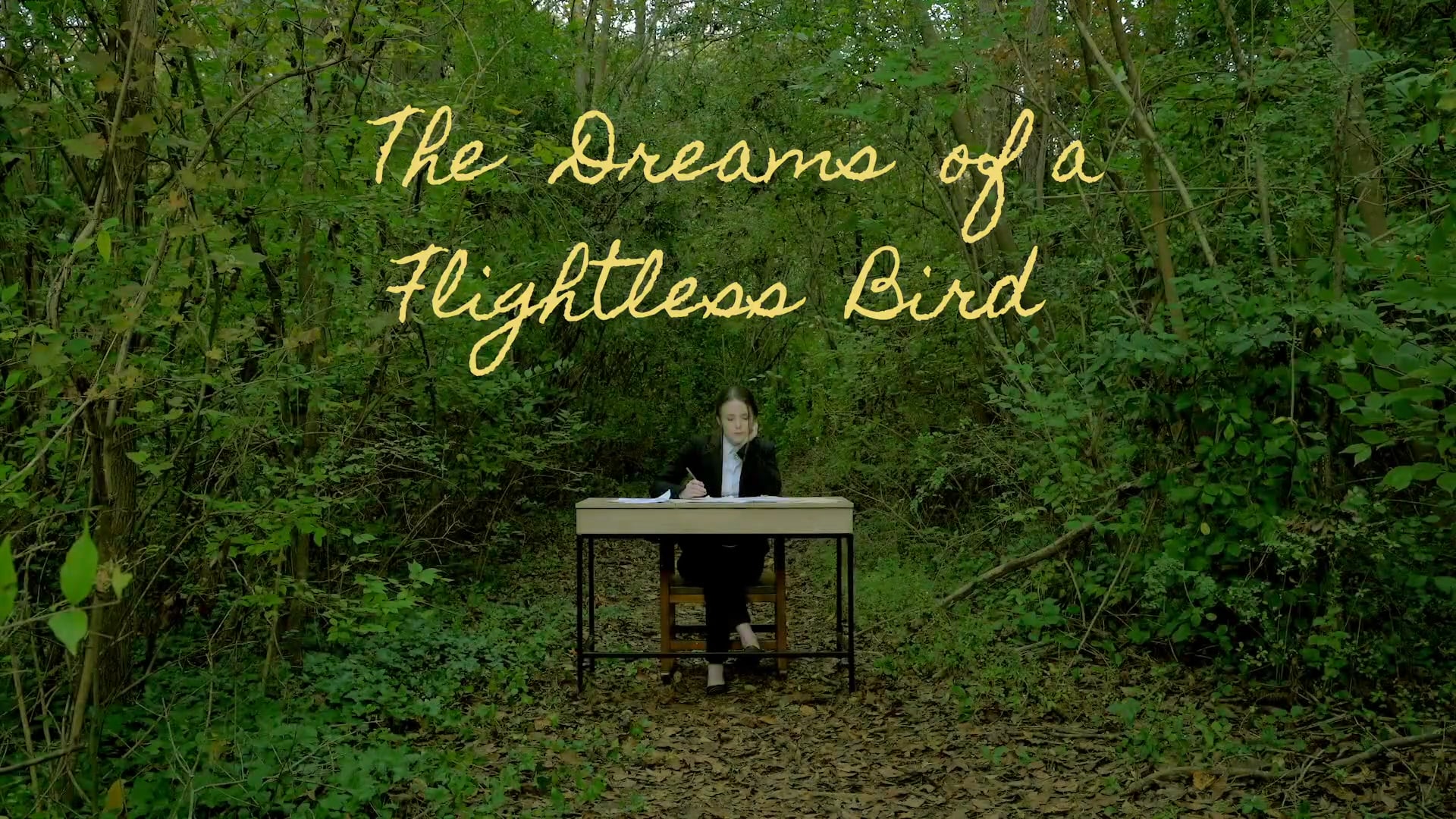 The Dreams of a Flightless Bird