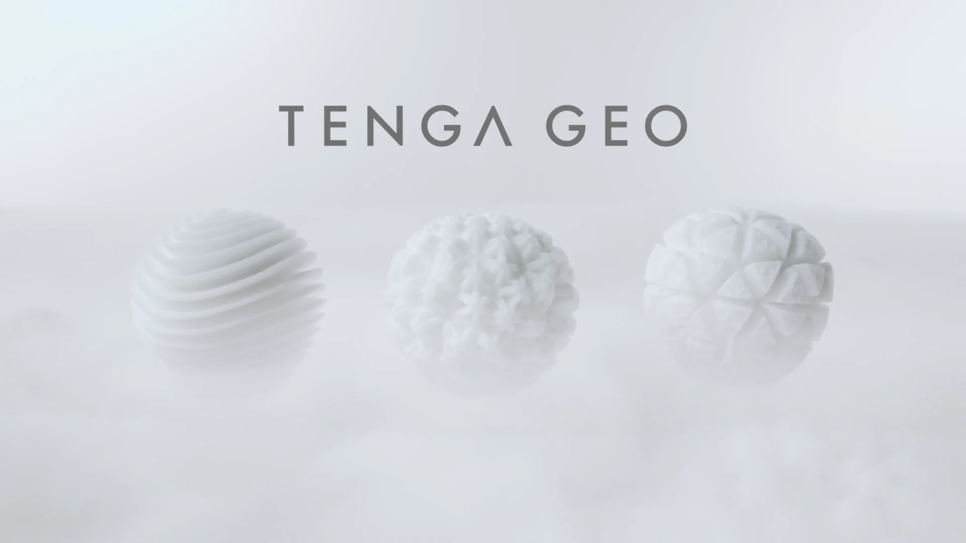 tenga net worth