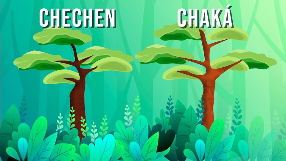 Mayan Legends - Leyenda del Chechen y el Chaká on Vimeo