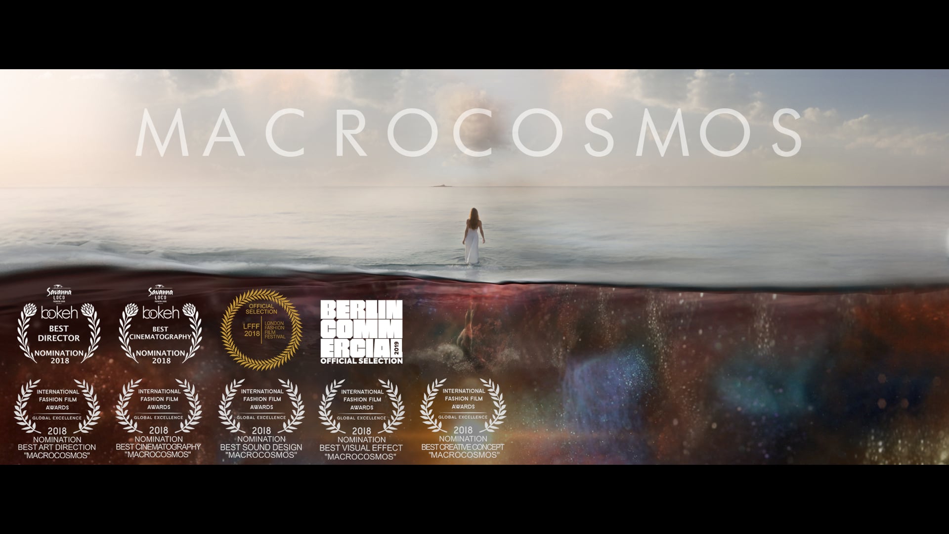 Macrocosmos