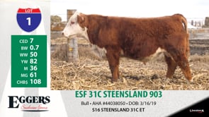 Lot #1 - ESF 31C STEENSLAND 903