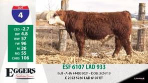 Lot #4 - ESF 6107 LAD 933