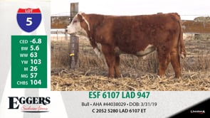 Lot #5 - ESF 6107 LAD 947