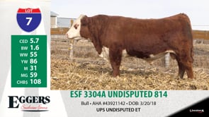 Lot #7 - ESF 3304A UNDISPUTED 814