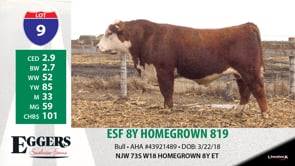 Lot #9 - ESF 8Y HOMEGROWN 819