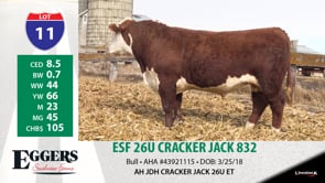 Lot #11 - ESF 26U CRACKER JACK 832