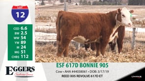 Lot #12 - ESF 617D BONNIE 905
