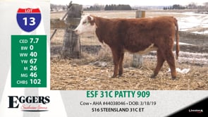 Lot #13 - ESF 31C PATTY 909
