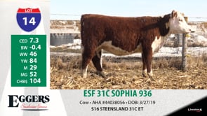 Lot #14 - ESF 31C SOPHIA 936