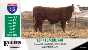 Lot #15 - ESF 41 JACKIE 940