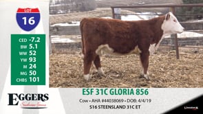 Lot #16 - ESF 31C GLORIA 856