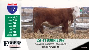 Lot #17 - ESF 41 BONNIE 967