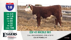 Lot #18 - ESF 41 NICOLE 981