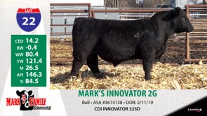 Lot #22 - MARK'S INNOVATOR 2G