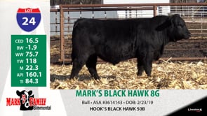 Lot #24 - MARK'S BLACK HAWK 8G