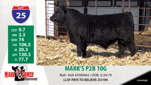 Lot #25 - MARK'S P2B 10G