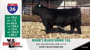 Lot #26 - MARK'S BLACK HAWK 13G