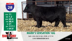 Lot #28 - MARK'S SENSATION 16G