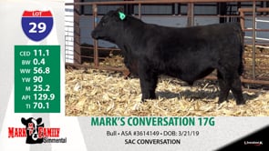 Lot #29 - MARK'S CONVERSATION 17G