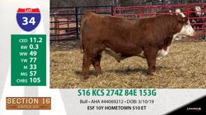 Lot #34 - S16 KCS 274Z 84E 153G