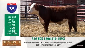 Lot #35 - S16 KCS 1206 510 159G
