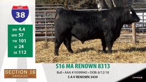 Lot #38 - S16 MA RENOWN 8313