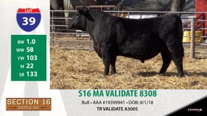 Lot #39 - S16 MA VALIDATE 8308