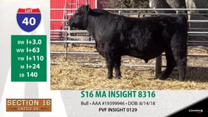 Lot #40 - S16 MA INSIGHT 8316