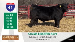 Lot #41 - S16 MA LINCHPIN 8319