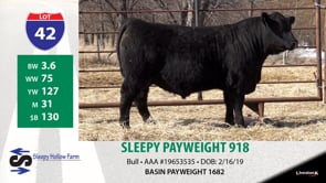 Lot #42 - SLEEPY PAYWEIGHT 918