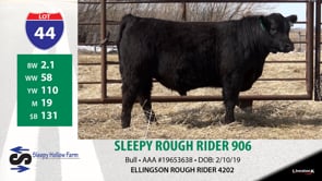 Lot #44 - SLEEPY ROUGH RIDER 906