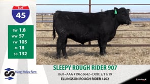 Lot #45 - SLEEPY ROUGH RIDER 907