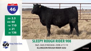 Lot #46 - SLEEPY ROUGH RIDER 908