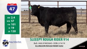 Lot #47 - SLEEPY ROUGH RIDER 914