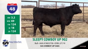 Lot #48 - SLEEPY COWBOY UP 902