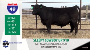 Lot #49 - SLEEPY COWBOY UP 910