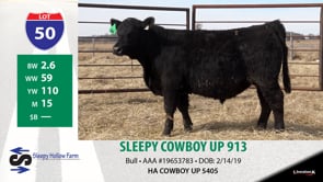 Lot #50 - SLEEPY COWBOY UP 913