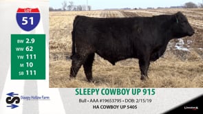 Lot #51 - SLEEPY COWBOY UP 915