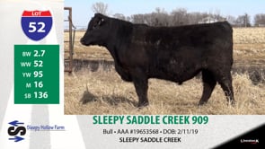 Lot #52 - SLEEPY SADDLE CREEK 909