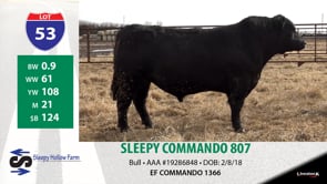 Lot #53 - SLEEPY COMMANDO 807