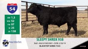 Lot #54 - SLEEPY SHREK 938