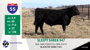 Lot #55 - SLEEPY SHREK 947