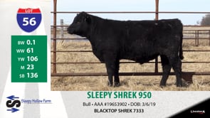 Lot #56 - SLEEPY SHREK 950