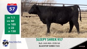 Lot #57 - SLEEPY SHREK 957