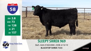 Lot #58 - SLEEPY SHREK 969